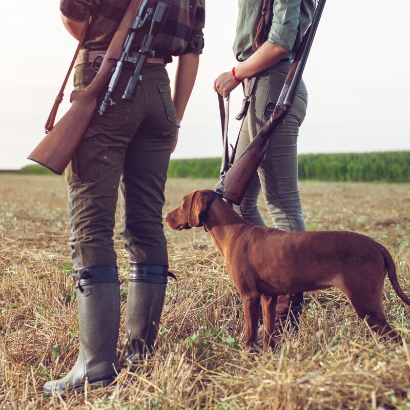 Jagd & Hund